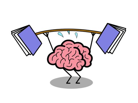 the human brain working hard like it's lifting weights