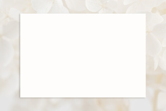 Elegant wedding card celebration event mockup template with blank white paper on hydrangea white flowers background