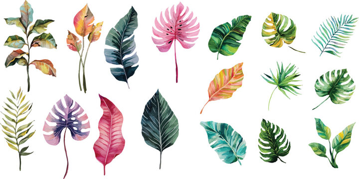 vector set of autumn leaves
