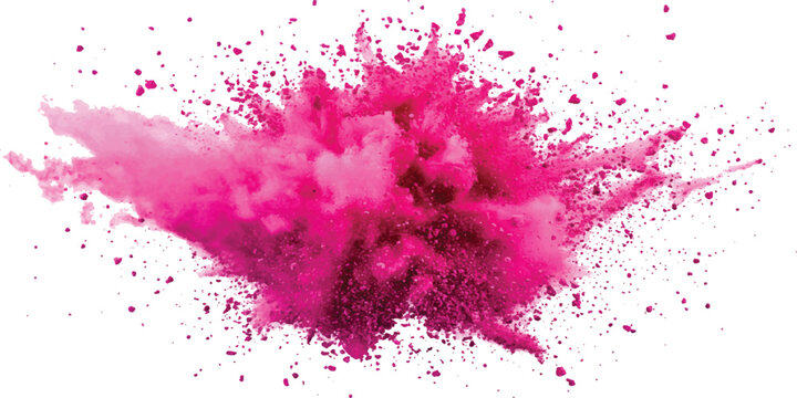 Vibrant pink holi powder explosion and dust cloud burst color splash on white background vector illustration.