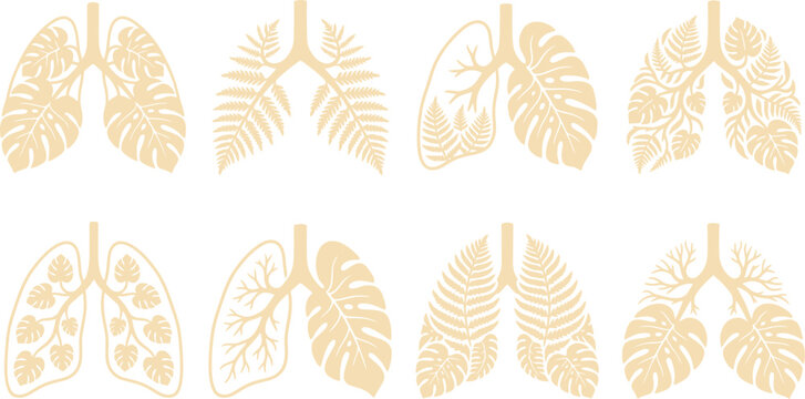 Human Lungs with Tropical Monstera and Fern Leaves Vector Illustration for Environmental Awareness, Wellness Branding & Medical Graphics (EPS)