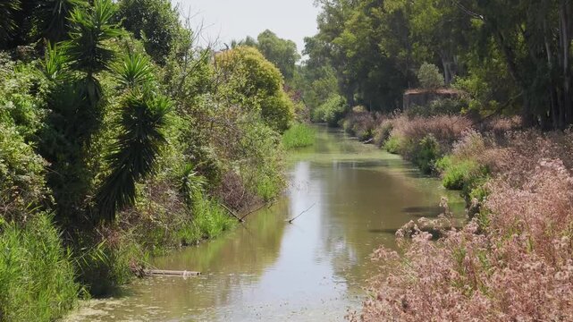 Water canal by lake Fogliano, Circeo National Park, Italy	
