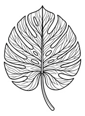 Monstera deliciosa leaf line art, tropical swiss cheese plant foliage vector, black and white botanical illustration for coloring or logo design © amna