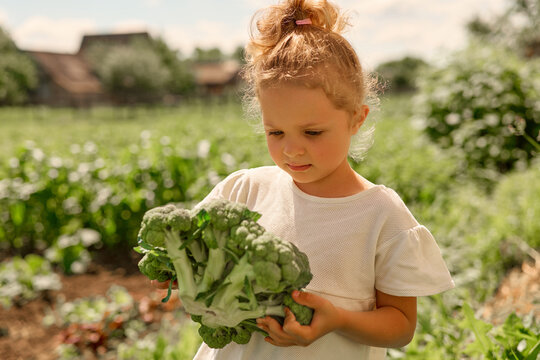 A child stands in a garden holding a bundle of broccoli. The sun shines down as plants grow around them. The scene shows a simple farm life moment
