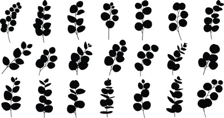 Black and white eucalyptus leaf branch silhouette set with minimalist botanical vector elements © MDJAYNAL