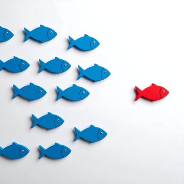 A red fish swims apart from a school of blue fish on a white background