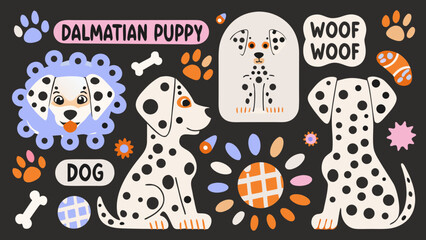 Dalmatian Puppy Illustrations With Paw Prints And Floral Elements A Colorful Vector Design canine dog spotty polka dot © MINA