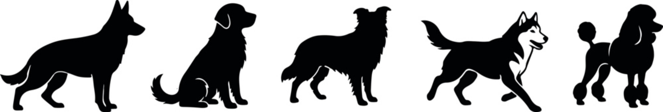 Diverse dog breed silhouettes german shepherd golden retriever border collie husky and poodle lineup