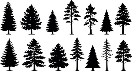 Obraz premium Collection of various pine tree silhouettes on white background