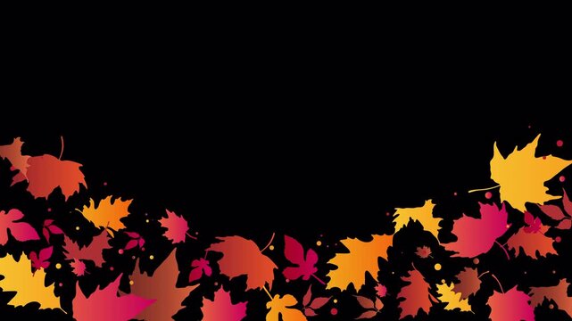 Animated autumn leaves frame loop on transparent background