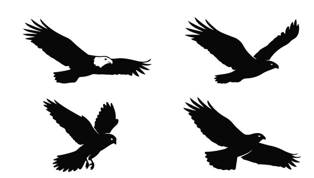 Bald eagle silhouette set, flying hawk and falcon bird icons, 4 black raptor vector elements for wildlife logos and outdoor branding