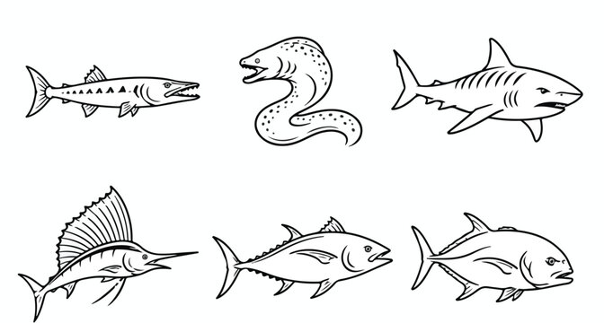 Vintage predatory fish vector set, hand drawn sea creature illustrations including shark and marlin, black and white marine life line art icons