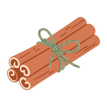 Sturdy bundle of aromatic cinnamon sticks tied with a rustic green twine in flat vector style