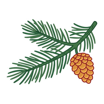 Illustration of a green pine tree branch featuring a single hanging brown cone for decoration