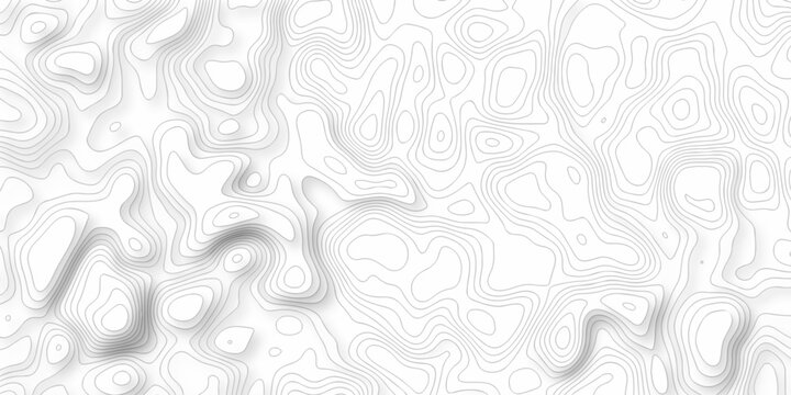 White topography map line geometric grid outline curve counter map wavy design. topography relief discovery area black spiral line space landscape texture background.