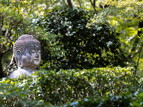 japan travel 