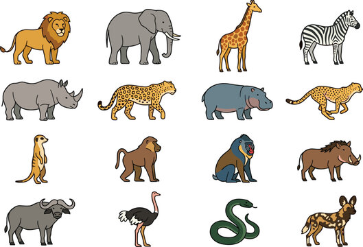 Cartoon African Safari Wildlife Animal Vector Grid Set with Lion Elephant Giraffe Zebra Rhinoceros Leopard Hippopotamus Cheetah Meerkat Baboon Mandrill and Warthog Illustrations