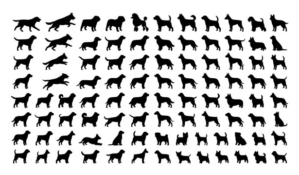 Dog silhouettes set multiple breeds black vector collection