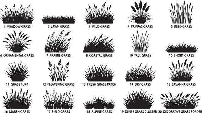 Set of various grass silhouettes including meadow lawn pampas and reed plants for landscape design vector illustration