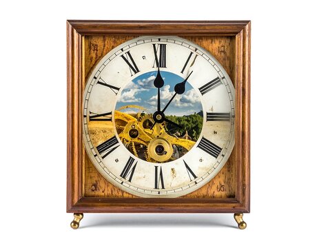 Vintage clock with floral decoration and blue bird design.