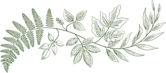 Botanical leaf garland, green foliage illustration, eucalyptus branch, floral border © yamin678