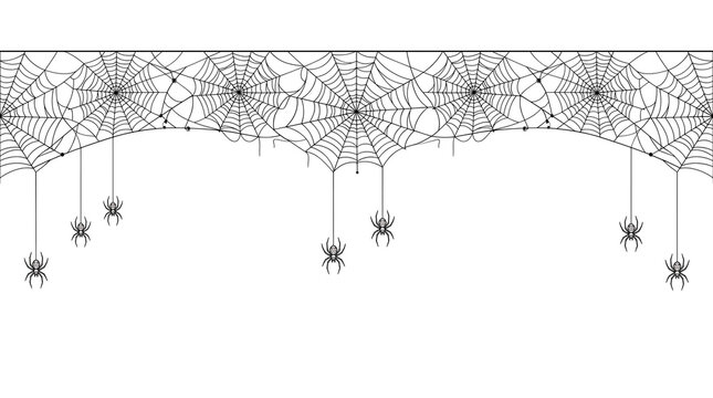 Halloween spider web border with hanging spiders on white background