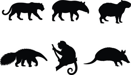 Fototapeta premium South American Wildlife Silhouette Vector Set Featuring Jaguar, Tapir, Capybara, Anteater, Monkey, and Armadillo