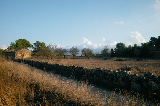 Abandoned Stone Farm Dry Landscape