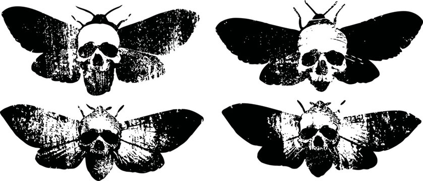 Four black and white moth illustrations with skull patterns on their thoraxes, vintage grunge art