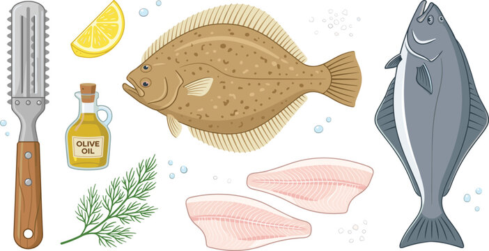 Fresh Raw Flounder and Halibut Fish Seafood Set Vector Illustration with Salmon Fillets, Lemon, Olive Oil, Dill, and Descaler Tool