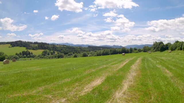 Idyllic summer landscape of a mown green field with scattered hay bales under a cloudy sky