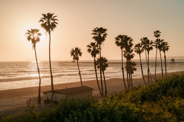 Naklejka premium Palm trees and view of the pier at sunset in San Clemente, California