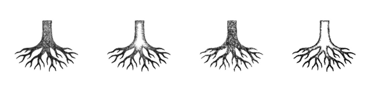 Sketch tree roots icon design set
