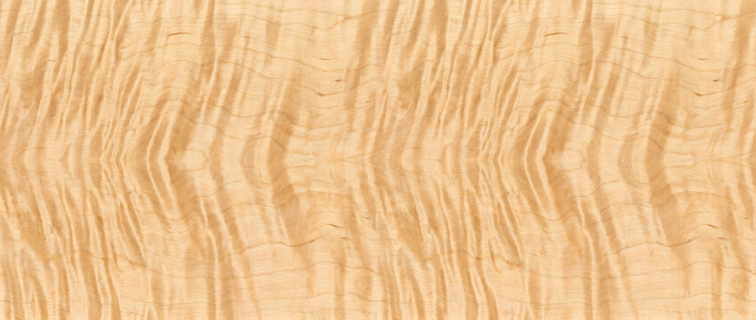 Wood Texture featuring a seamless curly maple inspired grain surface with realistic flowing natural figure for luxury design backgrounds