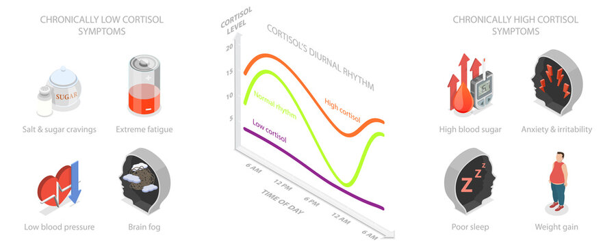 3D Isometric Flat  Illustration of Cortisol Graph, Stress Response