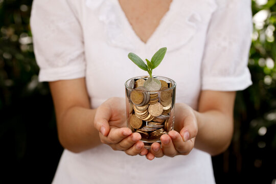 Financial Growth Concept - Plant Growing from Gold Coins in Glass Jar Representing Wealth Management and Investment Success