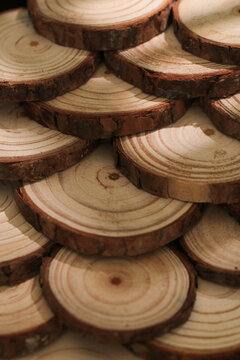 Natural Wood Tree Ring Slices with Bark Edge Showing Annual Growth Rings and Grain Patterns