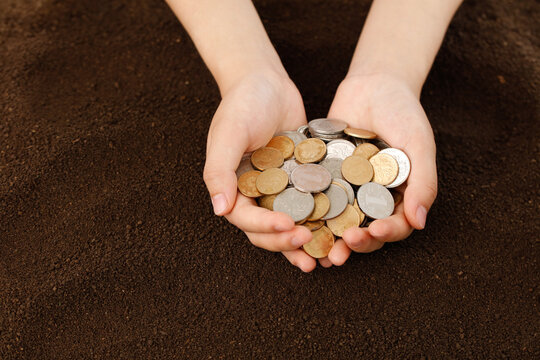 Hands Holding Coins - Financial Growth Wealth Management Investment Savings Business Concept