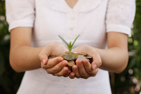 Hands Protecting Growing Plant on Coins - Financial Growth and Wealth Management Investment Concept