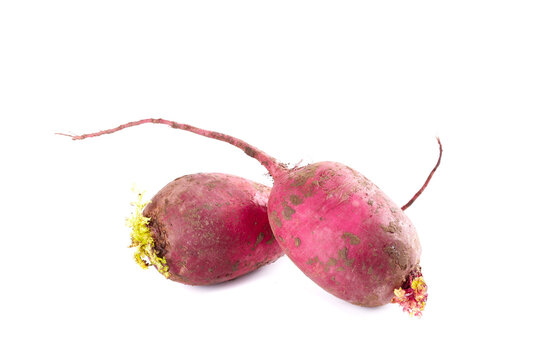 Fresh Purple Weifang Radishes with Roots - Delicious Organic Vegetable Beauty on White Background