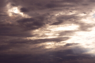 Fototapeta premium Clouds and sunset on the Baltic Sea coast