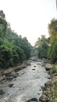 A clear rocky river stream flows through a hilly valley with lush green tropical forest vegetation on both sides.