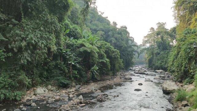 A landscape view of a river flowing at the bottom of a valley with hill cliffs covered in dense green trees under the morning sky.
