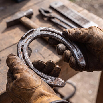 a heavy steel horseshoe being held by hands wearing thick leather work gloves, farrier tools