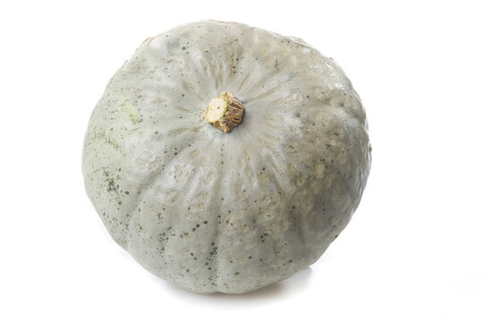 Fresh Silver Crown Prince Pumpkin Winter Squash Isolated on White Background