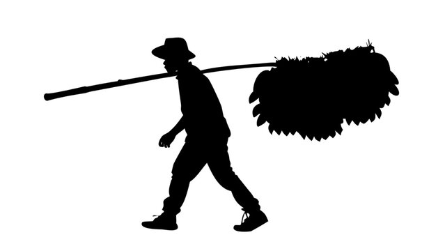Farmer Carrying Bunch of Bananas Silhouette Icon - Agricultural Worker with Fruit Harvest on Shoulder Vector Graphic