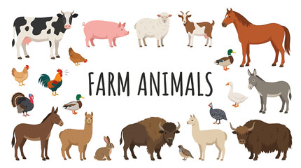Fototapeta premium An educational vector illustration showcasing a diverse collection of domestic farm animals, including livestock and poultry, suitable for agriculture and children's learning