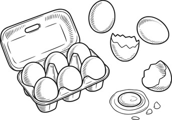 白い背景にある、割れた殻と割れた卵黄がある新鮮な卵のパックの手描きイラスト © Ripa_Moni