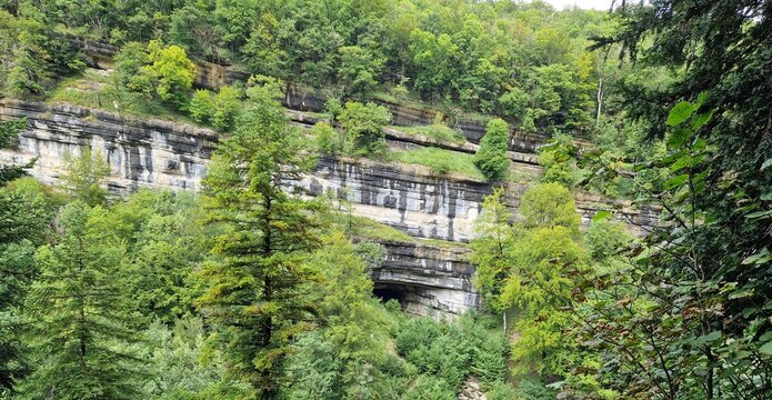 Formation rocheuse stratifi&eacute;e dans une paroi calcaire en for&ecirc;t