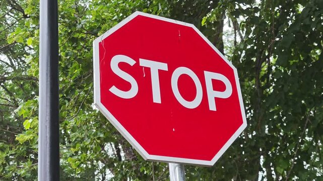 Close up view of a red octagonal stop sign with white text. Green foliage from trees in the background is gently swaying in the wind